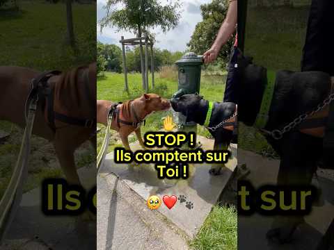 Image Youtube